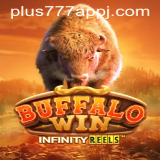 Discovering BuffaloWin
